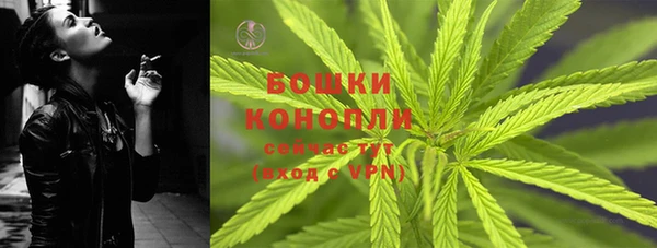 ALPHA PVP Остров