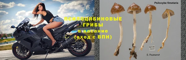 бошки Осташков