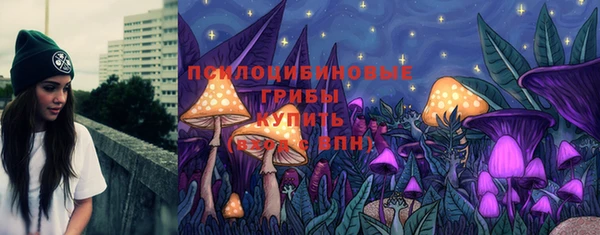 герыч Осинники