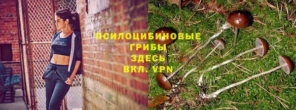 ALPHA PVP Остров